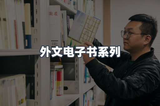 外文电子书系列